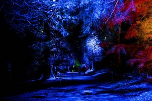 Tube UK supplies audio systems to Christmas trails in UK and Germany